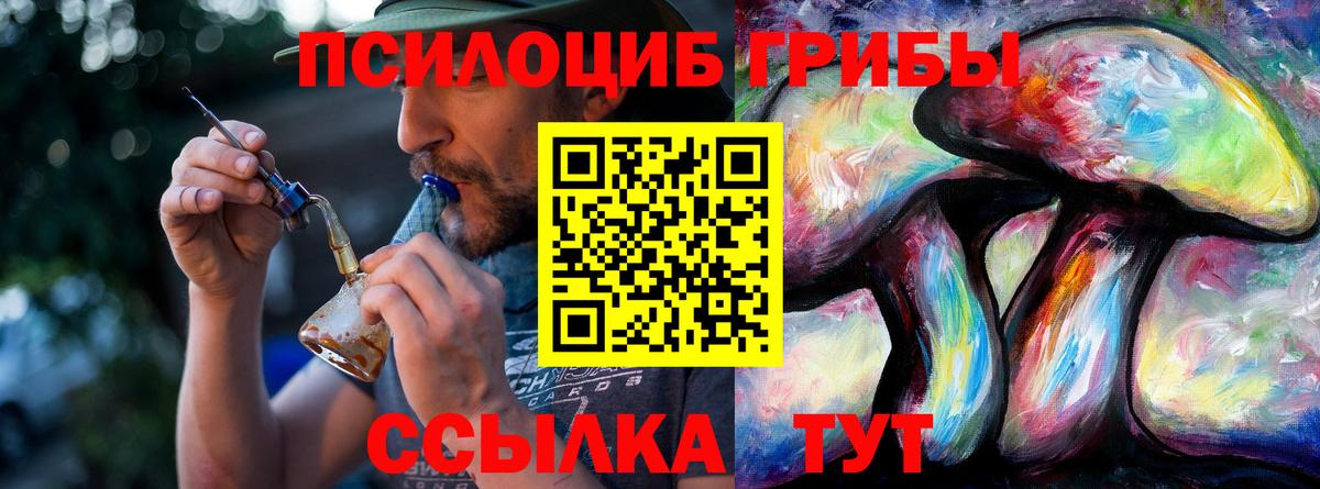 Сургут  Галлюциногенные грибы прущие грибы  что такое   Вход с VPN 