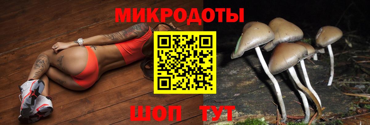 Галлюциногенные грибы прущие грибы Сургут